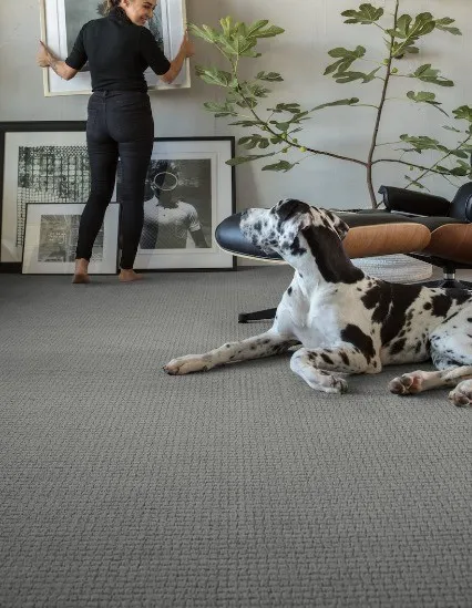 Carpet Flooring | Gilman Floors, LLC